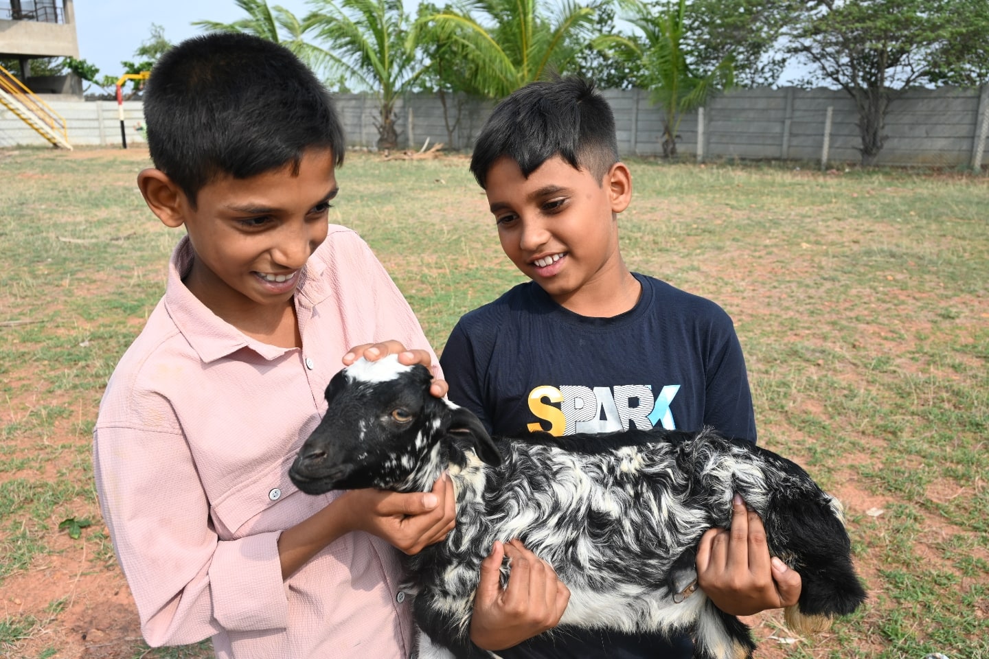 At Zakat Foundation of America, we want orphans to thrive and have a path forward. We help provide them training and opportunities for sustainable livelihoods, like with our livestock programs<br>في مؤسسة الزكاة الأمريكية، نساعد الأيتام على اكتشاف إمكاناتهم من خلال التعليم، والتدريب، وتوفير الفرص التي تمكنهم من بناء مستقبل مستدام ومشرق