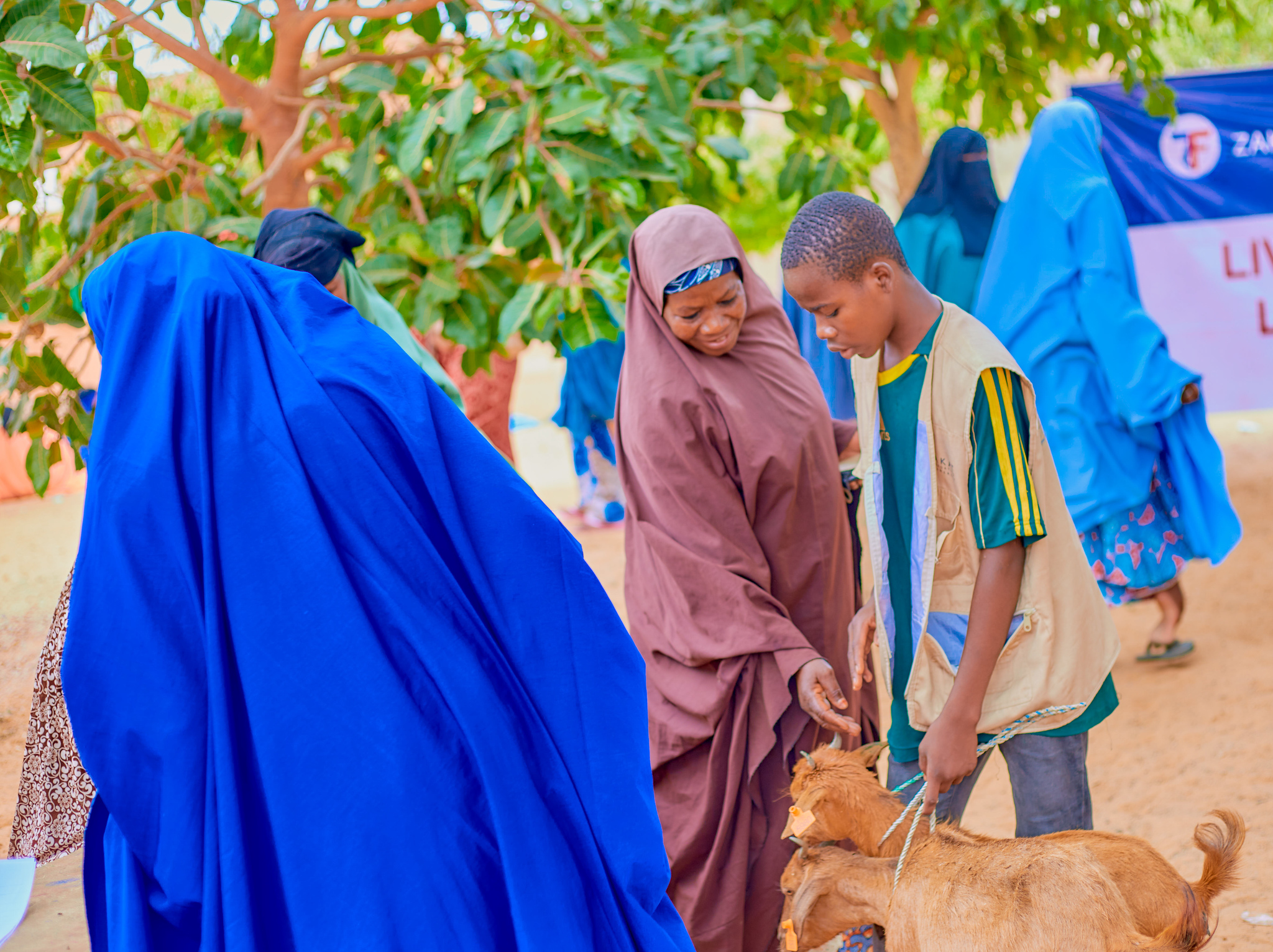 Families in Niger are given livestock to secure livelihoods and financial security