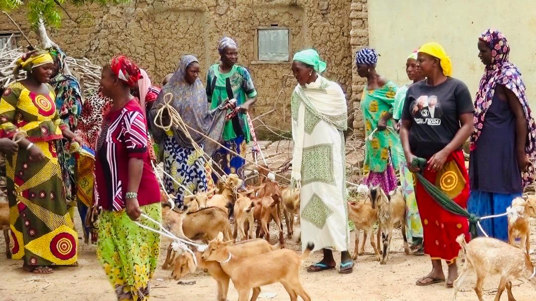 Families secure their livestock at our distribution with hope for a better tomorrow