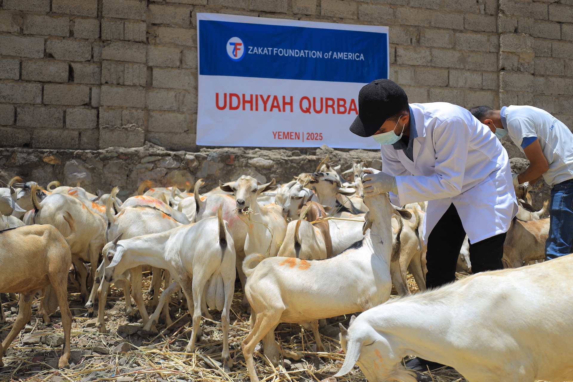 Only the best quality animals and proper Islamic guidelines are followed