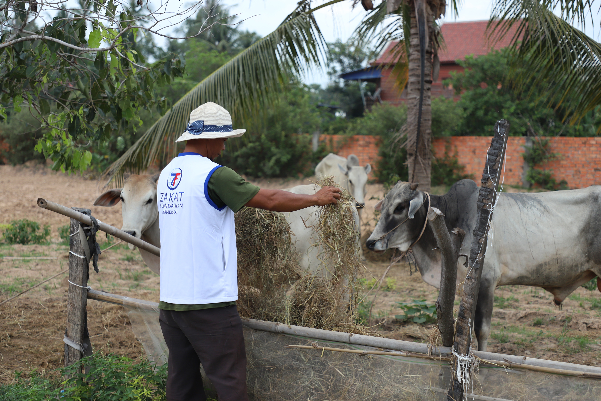 Our teams ensure only the best quality animals for Udhiyah-Qurbani season